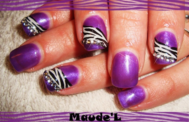 tigre violet