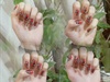 red leopard nail art tutorail ❤❤