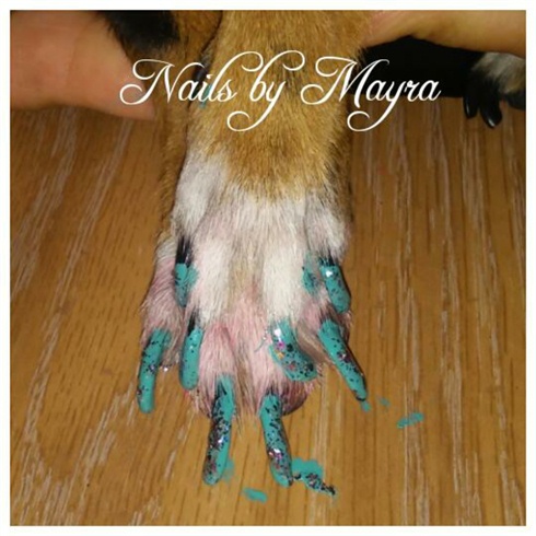 doggy nails