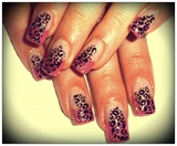 Pink French Cheeta