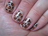 Panther on short nails :)