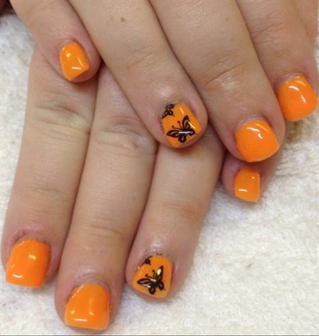 Orange and Butterfly&#39;s