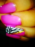 pink &amp; zebra