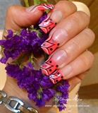 Pink,Spring, Black and White Flower Nais