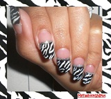 Zebra nails B/W