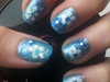 Baby Blue Flowers