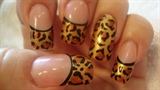 Gold Leopards