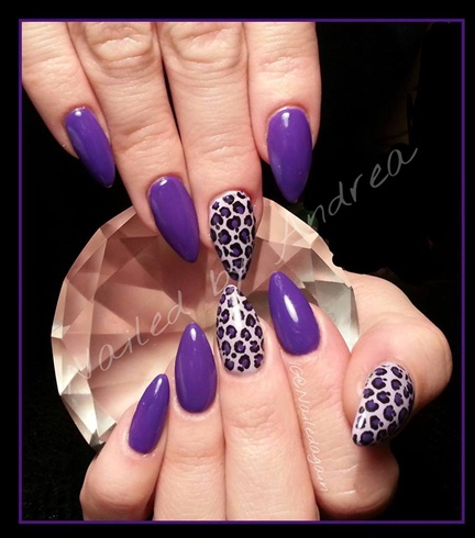 purple leopard