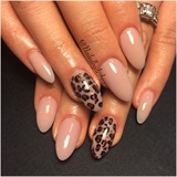 That Leopard And Nude