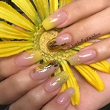 Touch Of A Soft Yellow Petal