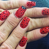Who Doesn’t Love Ladybugs?