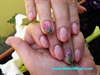 Natural looking almond shaped nails