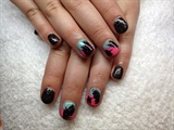 Gel polish - hand painted feathers