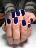 Presto Gel &amp; Gelish &quot;holiday Party Blues
