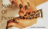 Dolce Leopard. Nails Of Promise