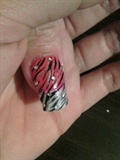 pink n white zebra