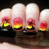 Palm Trees And Sunsets 