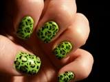 Lime Green Leopard 