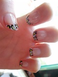 Leopard french