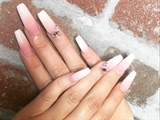 Pink And White Ombr&#233;