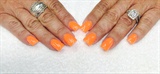 Neon Orange 
