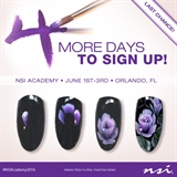 Join us at NSI Academy!