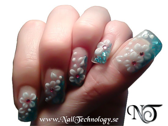 2009-02-26 Nail Technology