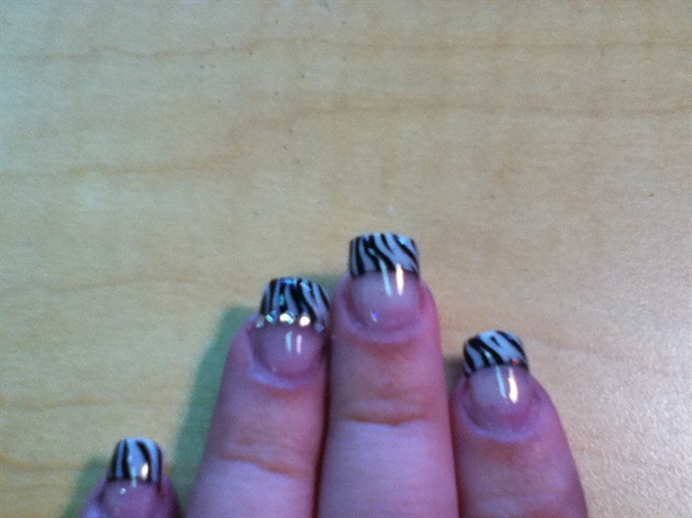 Zebra Fabulous!