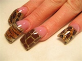 safari nails