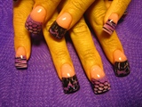 purple crackle and netting