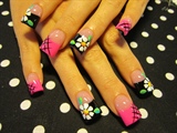black and pink daisies