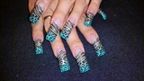 Teal zebra and leopard