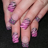 Pink zebra leopard mix