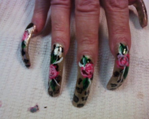 leopard roses
