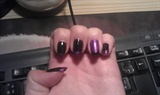 Black and Purple