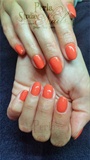 Finger Paints Rocco-Orange