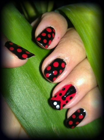 Polka Ladybug