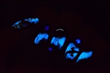 Firefly Galaxy Nails Glow in the Dark