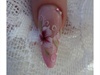 Gel nail &amp; one move design by Ilona