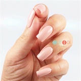 Purjoi - Bare Naked Collection Colors