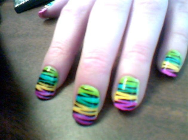 zebra rainbow