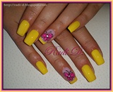 Yellow with Hot Pink Butterflies