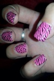 Zebra And Leaped Nails.:)