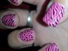 Zebra And Leaped Nails.:)