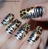 Zebra And Leopard