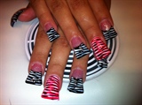 red and white and red zebra