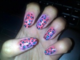 Leopard - Pink and Violet