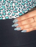 Leopard - white and sky-blue