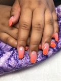 Ombr&#233; Nails With SNS