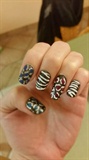 animal nails